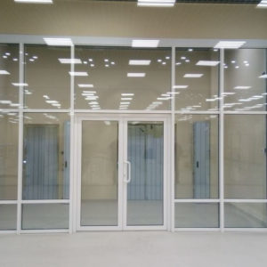 Противопожарная дверь EIW-60